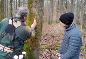 Rencontre avec des agents de l’Office National des Forêts.