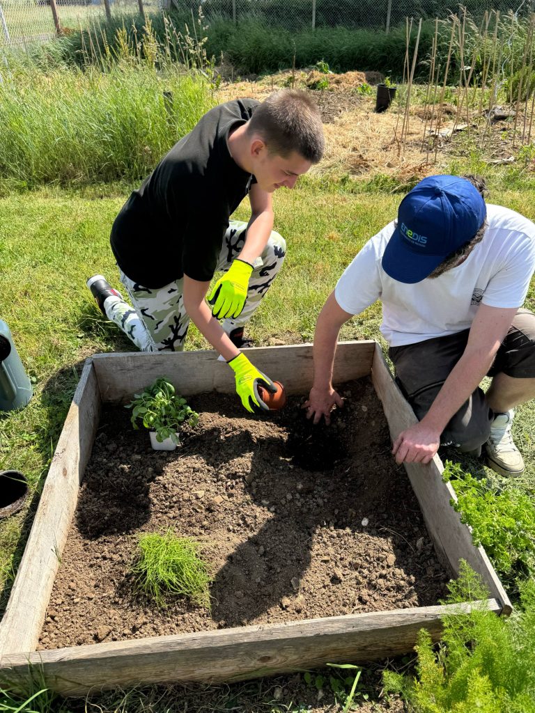 Projet jardin 2025 Antenne Bourgogne Nivernaise