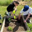 Projet jardin 2025 Antenne Bourgogne Nivernaise
