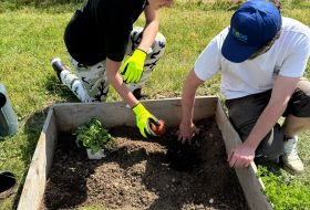 Projet jardin 2025 Antenne Bourgogne Nivernaise